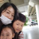 셰이크로그 | 6박8일 세부 여행 ① 첫날 베트남항공 / 블루워터마리바고호텔 / 라부요 / 딥질로그 / 맥도날드