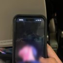 동양테크 | 24' 노스 캐롤라이나 윌밍턴 여행 후기 (미국 동부에서 중거리 여행지 추천)