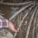 지게골로 이미지