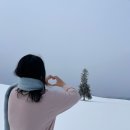 종로-신영-종로-영-362 | 2026, 1월 일상 브이로그