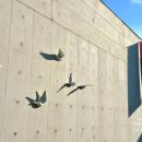 여울숲펜션 이미지