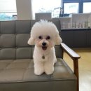 나우동물의료센터 이미지