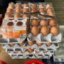 왕란약국 이미지