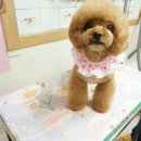 강미용실 이미지