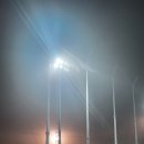 장흥생활체육공원 야구장 이미지