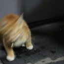 남양산충전소 이미지