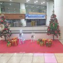 뚜레쥬르광주광역시국립공원점 | [크리스마스 시즌!♡] 2025 광주광역시 크리스마스 트리 투어 및 크리스마스 파티!!🎄🎂