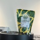 승현1농장 | 블렌딩을 위한 에티오피아 게뎁 우리 워시드 스트롱홀드 S7X 로스팅 후기 / 크래커 12기