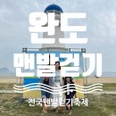 신지면-3 | [완도] 완도에서 바다를 밟으며 걸었던 하루, 해양치유완도 전국 맨발걷기축제 후기