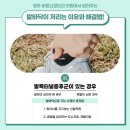 바른신경외과의원 이미지