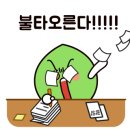 [초급] 오카리나 이미지