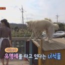 금순이농장 이미지