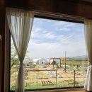 고운농장 | 포항 아이랑 가볼만한곳 농부의 하루 체험농장 솔직후기 (모래놀이+동물체험)