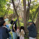 태화새들마을협동조합 | 홍성군가족센터 돌봄공동체 활성화 지원사업: 파일럿프로그램