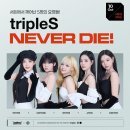 게임스파이 PC방 이미지