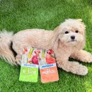 펫프레시 | 강아지 눈물개선 화식 펫프레시 기호성 좋은 저알러지 애견사료 수제간식 추천