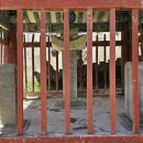 금곡리 삼효각 이미지