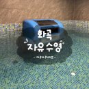 강서구 실내 수영장 24시간 운영하는 엔드리스풀 자유수영 후기