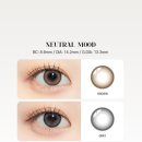 정감안경 위드렌즈 이미지