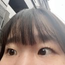 도아래쉬
