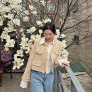 4월 5월 결혼식 하객룩 스테이피플 트위드자켓 긴팔티 후기
