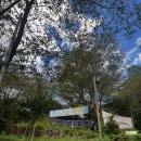 장군봉체육관 이미지