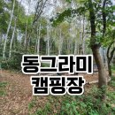 동그라미캠핑장 | 횡성 동그라미캠핑장 자작나무 사이트 간격 넓음