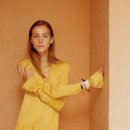 도그레이 이미지