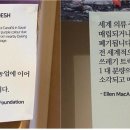그옷이알고싶다 - 동구 대흥로206번길 83 | 그옷이알고싶다
