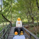 깨끗한속내과의원 이미지