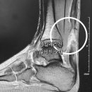 나은정형외과마취통증의학과의원 이미지