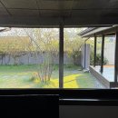 잔디마당 콘서트 9회차<감성의 노을 타임 콘서트> | [춘천] 자쿠지 한옥 독채 애견동반 감성숙소 : 오우하녹 내돈내산 후기