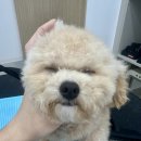 하리몽 네이버블로그