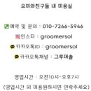 그루머솔 이미지