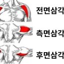 렛츠헬스 이미지
