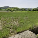 학산리농장 이미지