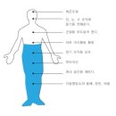 올바른영양 이미지