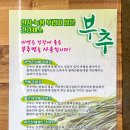 미옌 이미지