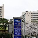 화신여행사 이미지