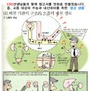 월드비전학원 이미지
