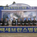세브란스병원 Daum카페