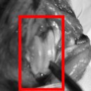 동백동물병원 이미지