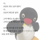 강남효약국 | 재재수술 자연유착 쌍수 후기 일주일차 경과와 출근