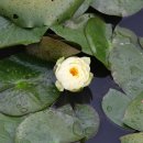 산천농장 이미지