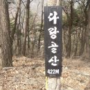 남산2리 Daum카페
