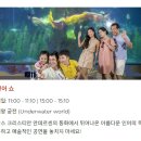 장항복어 건너 교통섬-1 | 나트랑 빈원더스 아쿠아리움 리오픈, 인어쇼 감상