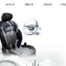 대유카 이미지