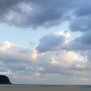 행복하 개 이미지