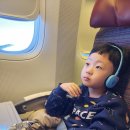 787 | 아이와 일본여행 대한항공 KE 787 후쿠오카, 기내식 키즈밀 후기