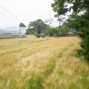 운정초등학교 이미지